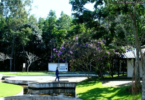 Secretários plantam mudas em comemoração ao Dia da Árvore em Aracruz