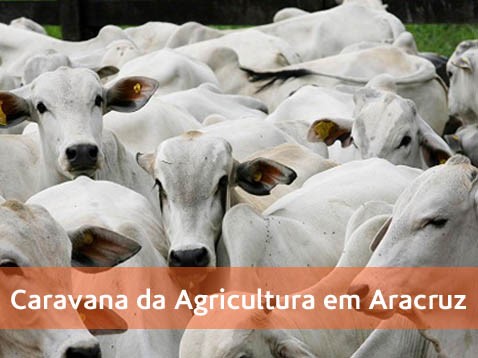 Caravana da Agricultura: dessa vez o assunto é sanidade animal