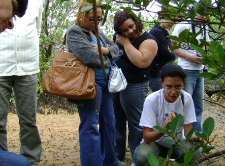 Prefeitura de Aracruz promoveu capacitação de professores no Programa Escola no Mangue 