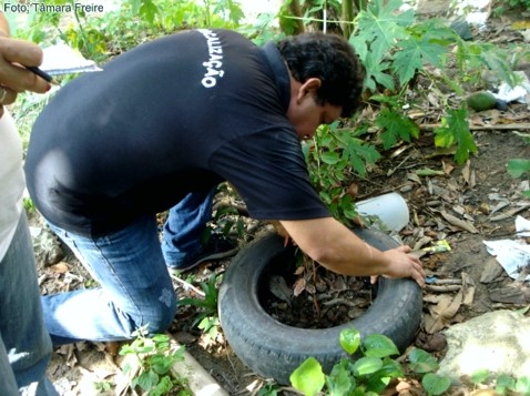 Luta contra a dengue em Aracruz não para e prefeitura planeja mais ações de combate