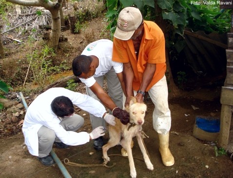 Campanha Antirrábica teve início no interior, mais de 15 mil animais devem ser vacinados