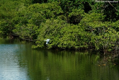 Eleita diretoria do Comitê das Bacias Hidrográficas Litoral Centro Norte do Espírito Santo