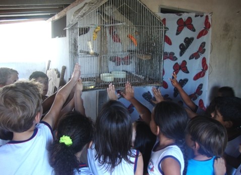 Projeto 'Conhecendo as Aves' conscientiza estudantes sobre preservação das espécies