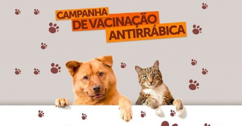 Vacinação antirrábica começa esta semana 