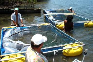 Secretaria de Agricultura realiza Seminário Municipal de Aquicultura na próxima terça-feira (24)