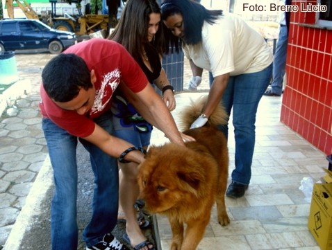 Prefeitura de Aracruz continua vacinação em cães e gatos no próximo sábado